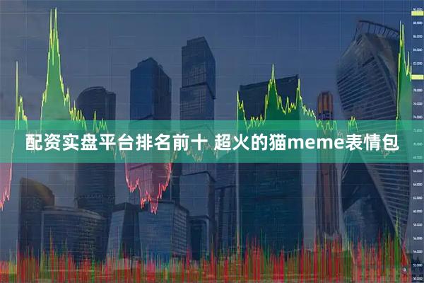 配资实盘平台排名前十 超火的猫meme表情包