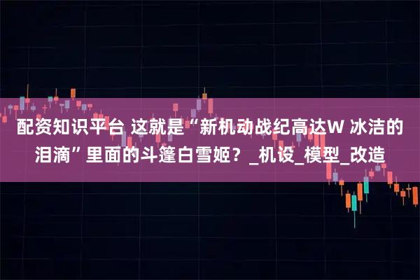 配资知识平台 这就是“新机动战纪高达W 冰洁的泪滴”里面的斗篷白雪姬？_机设_模型_改造